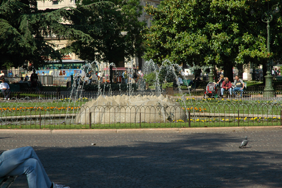 DSC_4102