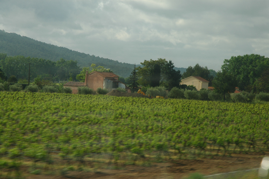 vDSC_4034