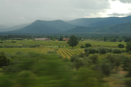 vDSC_4036